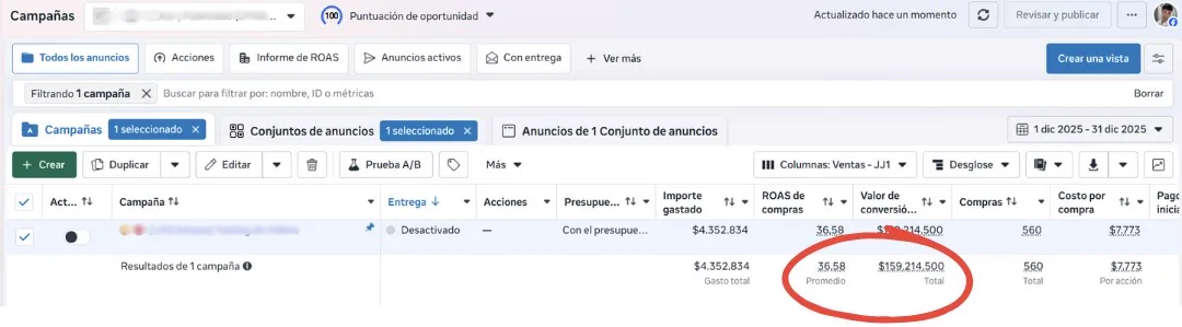 Resumen de inversión y resultados de campañas